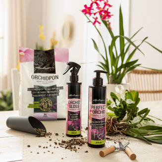 Nabłyszczacz Lechuza Orchid Gloss 250 ml - 2