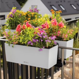 Donica Lechuza Balconera Color 40 | 50 biały - 7