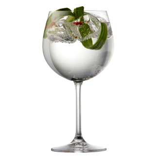 Kieliszki do ginu Lyngby Glas Juvel 4 szt. - 6
