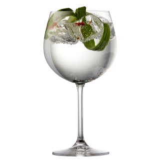 Kieliszki do ginu Lyngby Glass Juvel 4 szt. - 6