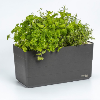 Donica samo-nawadniająca Urbalive Berberis szary 40x20 cm - 2