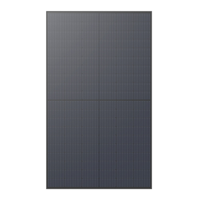 Panel fotowoltaiczny ECOFLOW 450W x2
