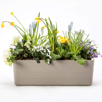 Donica samo-nawadniająca prostokątna Urbalive Berberis jasnoszary 60x20 cm - 4