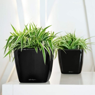  Lechuza Quadro Premium LS 21 flowerpot | 28 | 35 | 43 | 50 gloss black - 9