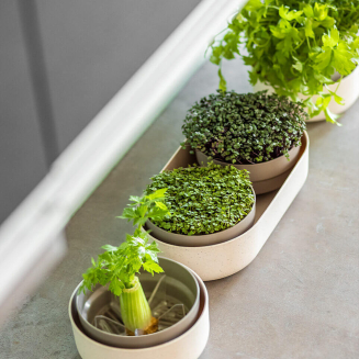 Pojemnik do ponownej uprawy warzyw Urbalive ReGrow ECO kremowy 16 cm - 4