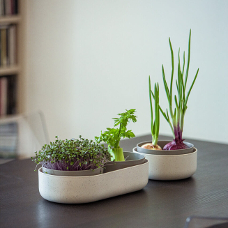 Pojemnik do ponownej uprawy warzyw Urbalive ReGrow ECO kremowy 16 cm - 5