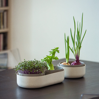 Pojemnik do ponownej uprawy warzyw Urbalive ReGrow ECO kremowy 16 cm - 5