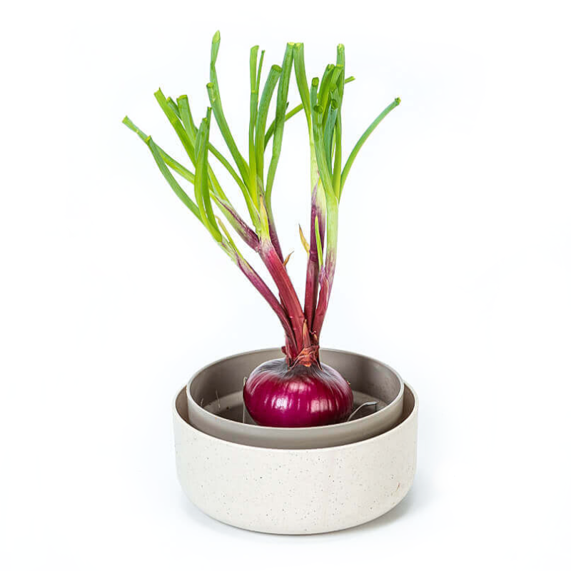 Pojemnik do ponownej uprawy warzyw Urbalive ReGrow ECO kremowy 16 cm