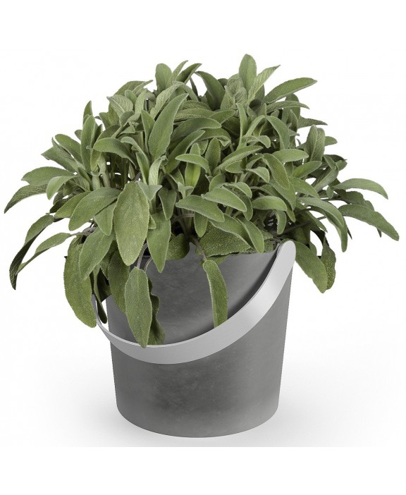  Zack Tardo Flowerpot 14 cm