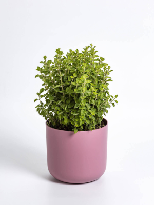 PLASTIA TOLITA Doniczka samonawadniająca okrągła z wkładem 19 cm różowy