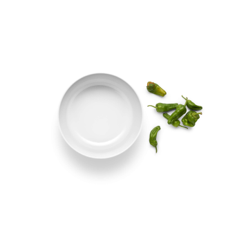 Misa Eva Solo Legio Nova 3.75 l - 6