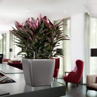 Donica Lechuza Quadro Premium LS 21 | 28 | 35 | 43 | 50 antracyt metallic - 10