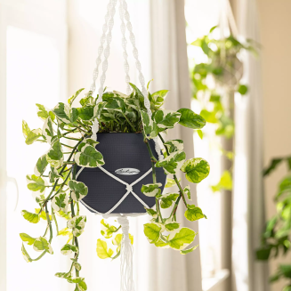 Lechuza Makramee suspension, white, for Puro pots - 3