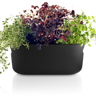 Doniczka samo-podlewająca na zioła Eva Solo Black 31 cm - 2