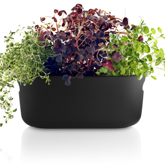 Doniczka samo-podlewająca na zioła Eva Solo Black 31 cm - 2