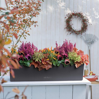 Donica Lechuza Balconera Color 50 szary łupek - 6