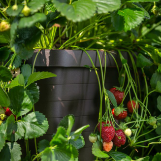 Donica samo-nawadniająca Urbalive Berberis Uno szary 45x39 cm - 4