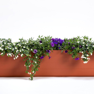 Donica samo-nawadniająca prostokątna Urbalive Berberis cynamonowy 80x20 cm - 3