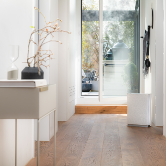 Oczyszczacz powietrza Stadler Form Roger Little 2 biały | RABAT Z KODEM: STADLER10 - 4