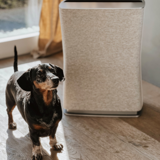 Oczyszczacz powietrza Stadler Form Roger Little 2 biały | RABAT Z KODEM: STADLER10 - 6