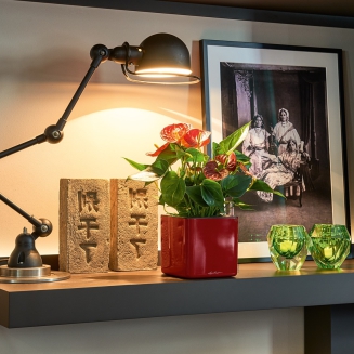  Lechuza Cube Glossy 14 herb pot | 16 glossy anthracite - 6