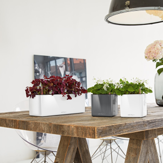 Doniczka na zioła Lechuza Cube Glossy 14 | 16 antracyt połysk - 4