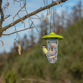 PLASTIA ROBIN Zestaw do karmienia ptaków 2 w 1 16.5x18 cm zielony - 4