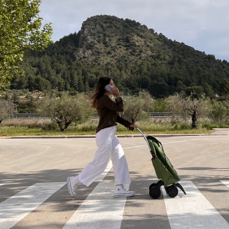 Wózek zakupowy Rolser I-Max MF 4L Kaki - 7