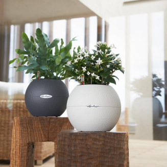 Donica Lechuza Puro Color 20 piaskowy brąz - 6