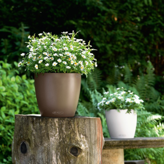  Lechuza Classico Color 18 flowerpot | 21 | 28 | 35 | 43 nutmeg - 8