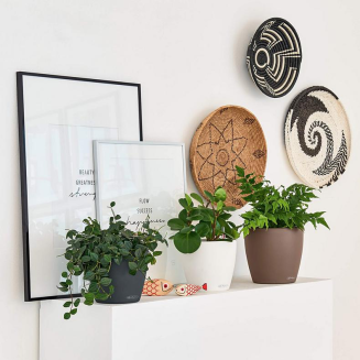 Lechuza Classico Color 18 flowerpot | 21 | 28 | 35 | 43 nutmeg - 4