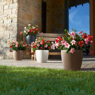  Lechuza Classico Color 18 flowerpot | 21 | 28 | 35 | 43 nutmeg - 6