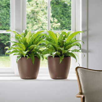  Lechuza Classico Color 18 flowerpot | 21 | 28 | 35 | 43 nutmeg - 5