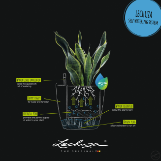  Lechuza Classico Color 18 flowerpot | 21 | 28 | 35 | 43 nutmeg - 11