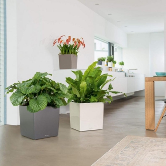  Lechuza Cube Premium 30 flowerpot | 40 | 50 anthracite metallic - 12