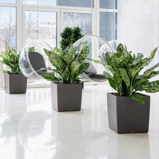  Lechuza Cube Premium 30 flowerpot | 40 | 50 anthracite metallic - 9