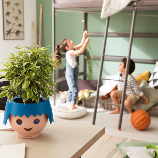 Donica Lechuza Ojo turkusowa - 2