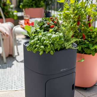  Lechuza Pila Color plant bowl, gray - 6