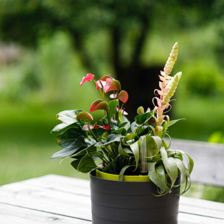 Donica samo-nawadniająca okrągła Urbalive Berberis szary 26 cm - 5