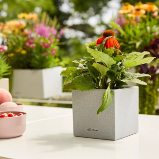  Lechuza Canto Stone flowerpot 14 cubes, black graphite - 10
