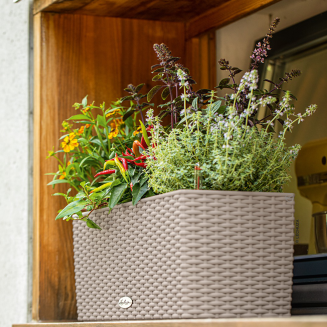 Donica Lechuza Balconera Cottage 50 | 80 piaskowy brąz - 9