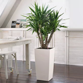  Lechuza Cubico Color 22 flowerpot | 30 | 40 white - 12