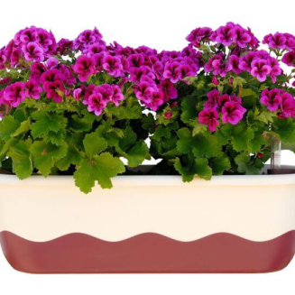 PLASTIA MARETA Donica samonawadniająca prostokątna 60x20 cm beżowy - 2