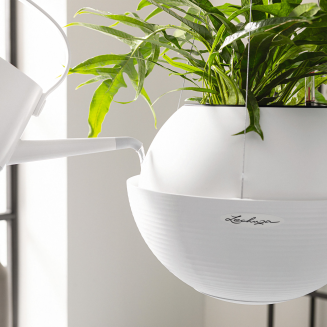Lechuza Bola Color 32 white suspended flowerpot - 4