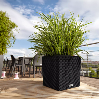  Lechuza Cube Cottage 30 planter | 40 | 50 graphite black - 9