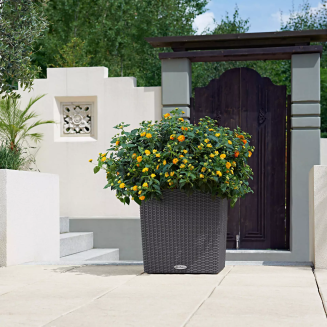 Donica Lechuza Cube Cottage 30 | 40 | 50 grafitowy czarny - 11