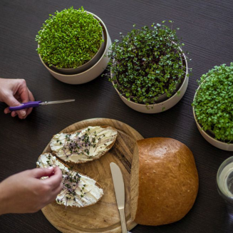 Kiełkownica Urbalive Microgreens ECO beżowy 16 cm - 6