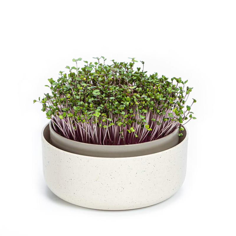 Kiełkownica Urbalive Microgreens ECO beżowy 16 cm