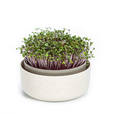 Kiełkownica Urbalive Microgreens ECO beżowy 16 cm