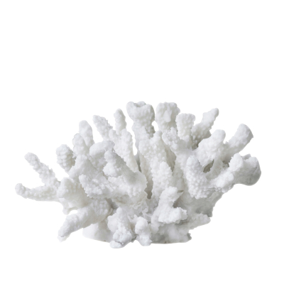 Dekoracja Mette Ditmer Coral Branches Large